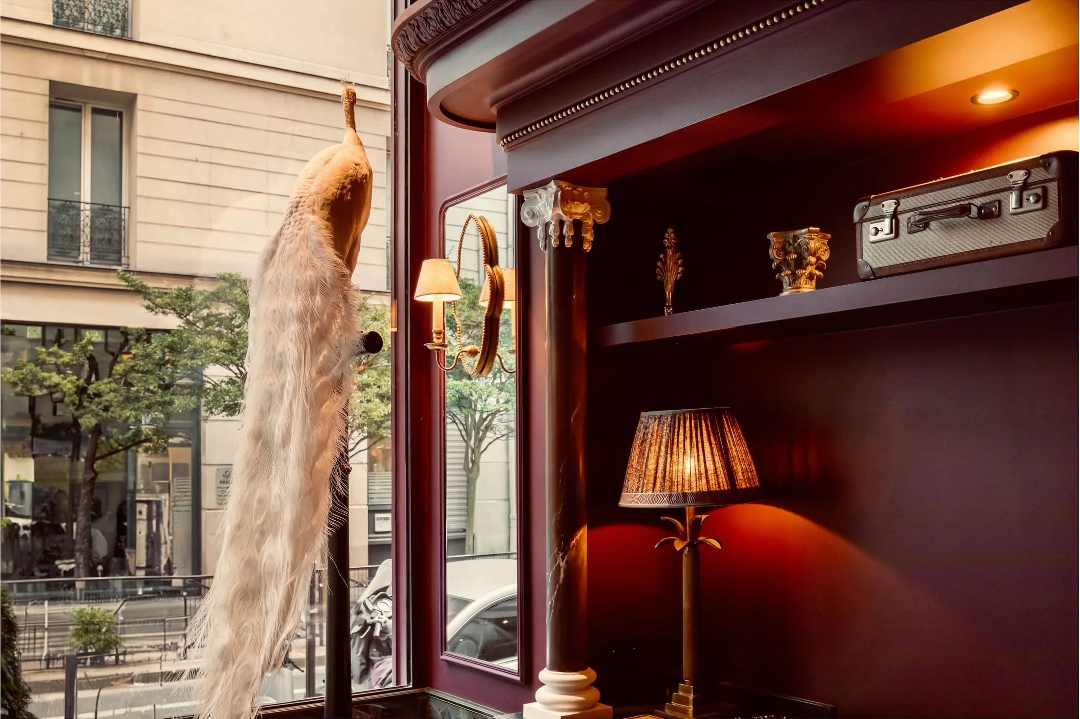 Plume de paon et lampe à abat-jour plissé devant une niche bordeaux, près de la vitrine
